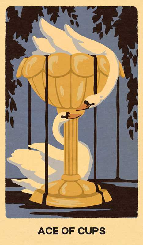 Wild Earth Tarot Deck